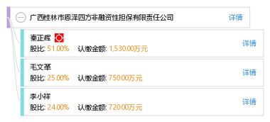 探寻广西桂林市恩泽四方非融资性担保有限责任公司的非融资担保服务价值